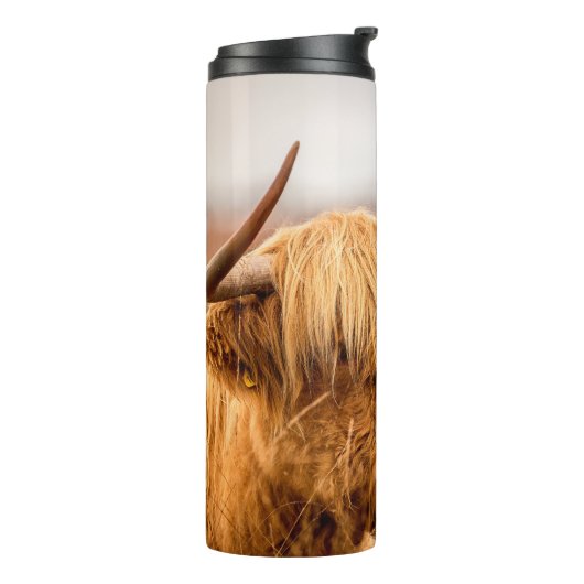 BOUTEILLES ISOTHERMES HIGHLAND CATTLE (Tourné sur la gauche)