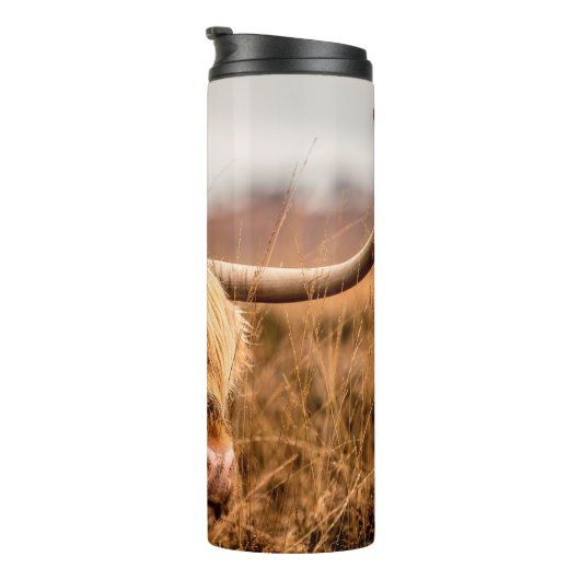 BOUTEILLES ISOTHERMES HIGHLAND CATTLE (Tourné sur la droite)