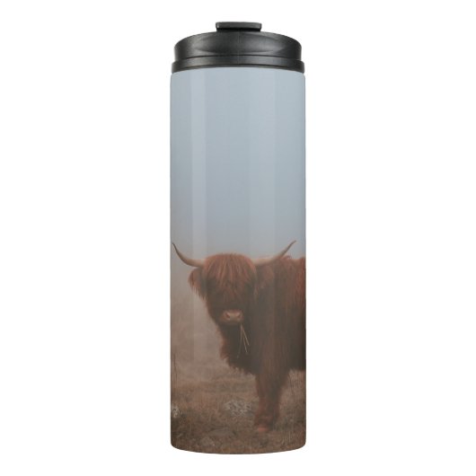 BOUTEILLES ISOTHERMES HIGHLAND CATTTTLE VW (Devant)