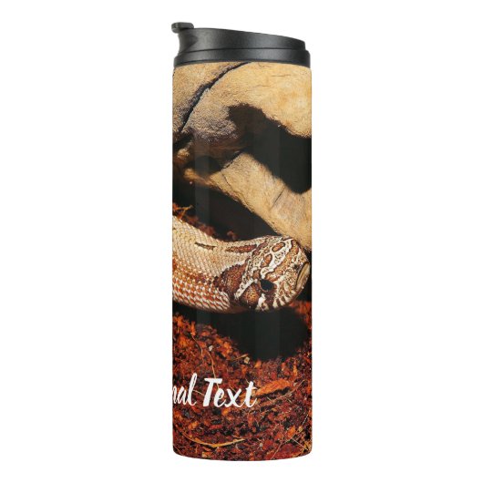 Bouteilles Isothermes Hognose Pet Snack (Tourné sur la droite)