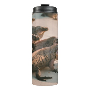 BOUTEILLES ISOTHERMES IGUANA