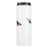 Bouteilles Isothermes Illustration de Kentrosaurus (Dos)