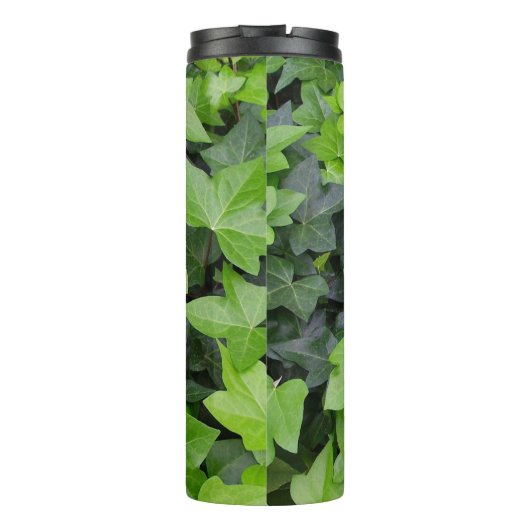 Bouteilles Isothermes Impression botanique verte Ivy (Dos)