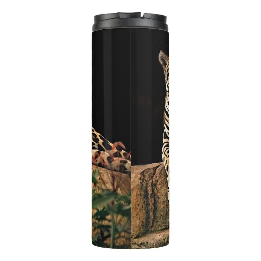 Bouteilles Isothermes Jaguar (Dos)