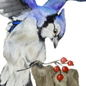 Bouteilles Isothermes Jay bleu d'oiseau de la forêt