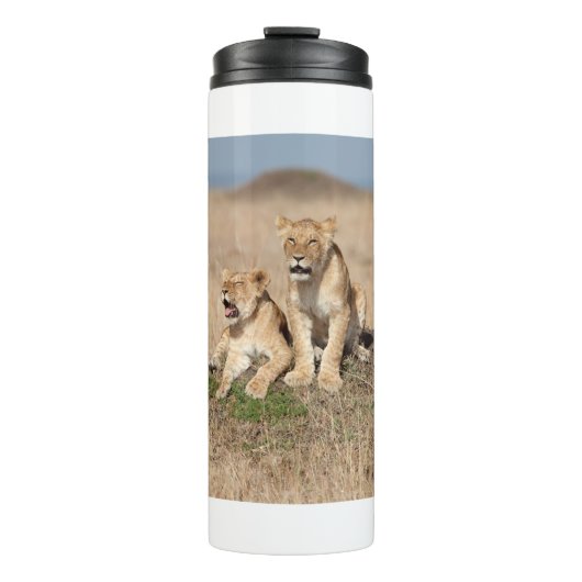Bouteilles Isothermes Jeunes lions (Devant)