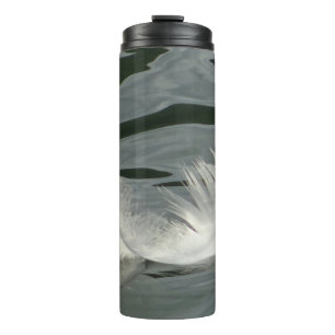 Bouteilles Isothermes Jolie plume blanche