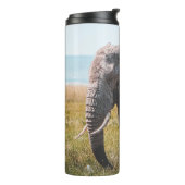 BOUTEILLES ISOTHERMES JOLIMENT ÉLÉPHANT (Tourné sur la gauche)