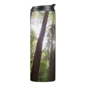 Bouteilles Isothermes Jusqu'aux séquoias du matin (Tourné sur la gauche)