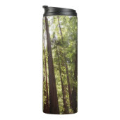 Bouteilles Isothermes Jusqu'aux séquoias du matin (Tourné sur la droite)