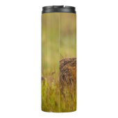 Bouteilles Isothermes Kit Renard Rouge vers le haut de Momma (Dos)