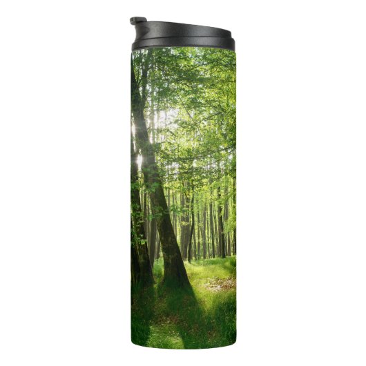 Bouteilles Isothermes La forêt au printemps (Tourné sur la droite)