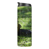 Bouteilles Isothermes La grenouille verte frappe un pot sur le tuyau (Tourné sur la droite)