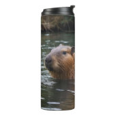 Bouteilles Isothermes La Nage Des Capybaras Dans La Rivière, (Tourné sur la gauche)