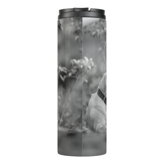 BOUTEILLES ISOTHERMES LABRADOR CHIENS RELAXANT (Dos)