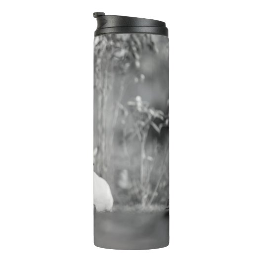 BOUTEILLES ISOTHERMES LABRADOR CHIENS RELAXANT (Tourné sur la droite)