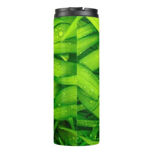 Bouteilles Isothermes Ladybug dans l'herbe verte rouge en vichy vérifier (Dos)