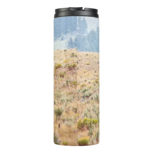 Bouteilles Isothermes Lamar (Dos)