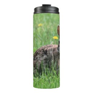 Bouteilles Isothermes Lapin