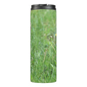 Bouteilles Isothermes Lapin (Dos)