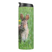 Bouteilles Isothermes Lapin (Tourné sur la droite)