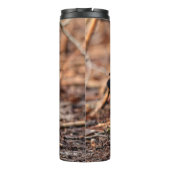 Bouteilles Isothermes Le canard à bois étonnant dans les bois (Dos)