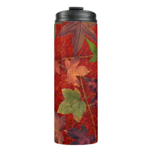 Bouteilles Isothermes Le feuille d'automne coloré brunit le culbuteur