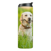 Bouteilles Isothermes Le Labrador Jaune se rapproche avec un bâton (Tourné sur la gauche)