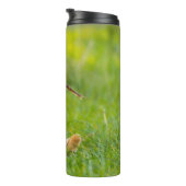 Bouteilles Isothermes Le Labrador Jaune se rapproche avec un bâton (Tourné sur la droite)