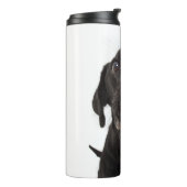 Bouteilles Isothermes Le Labrador Noir se lâche le nez (Tourné sur la gauche)