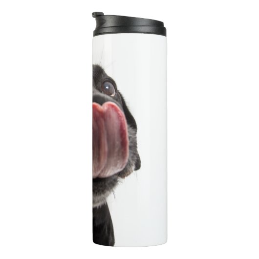 Bouteilles Isothermes Le Labrador Noir se lâche le nez (Tourné sur la droite)