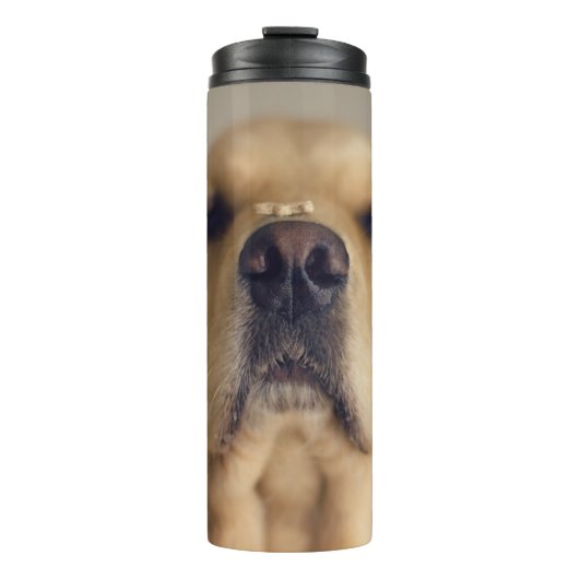 Bouteilles Isothermes Le Retriever balancer le nez (Devant)