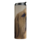 Bouteilles Isothermes Le Retriever balancer le nez (Tourné sur la gauche)