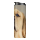 Bouteilles Isothermes Le Retriever balancer le nez (Tourné sur la droite)