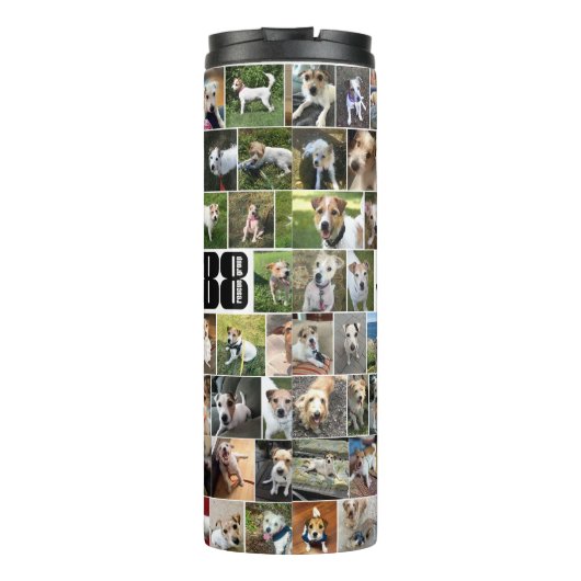 Bouteilles Isothermes Le tombeau thermique des 188 Secours du groupe (Dos)