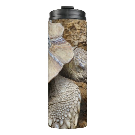 Bouteilles Isothermes Lent (Devant)