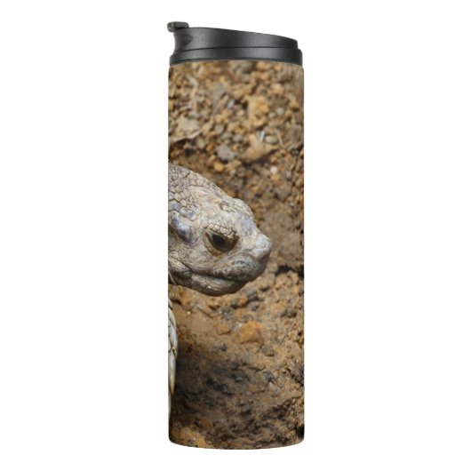 Bouteilles Isothermes Lent (Tourné sur la droite)