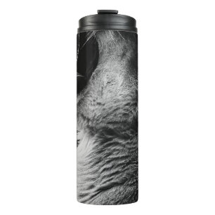 Bouteilles Isothermes lion