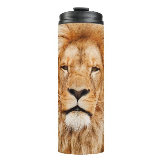 Bouteilles Isothermes Lion (Devant)