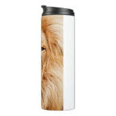 Bouteilles Isothermes Lion (Tourné sur la droite)