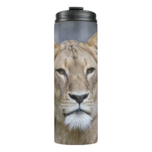 Bouteilles Isothermes Lion 004