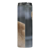 Bouteilles Isothermes Lion 004 (Dos)