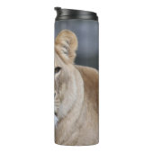 Bouteilles Isothermes Lion 004 (Tourné sur la droite)
