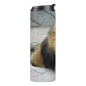 Bouteilles Isothermes Lion 020 (Tourné sur la gauche)
