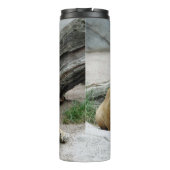 Bouteilles Isothermes Lion 020 (Dos)
