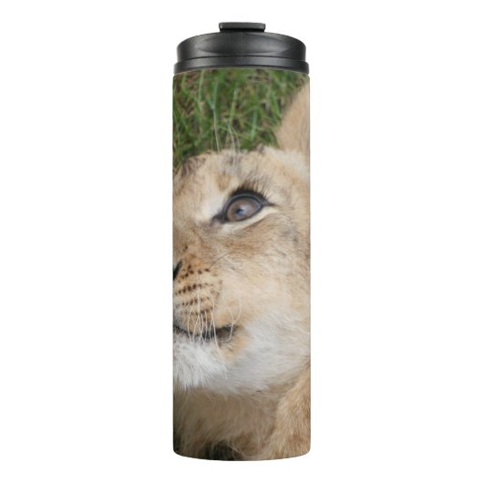 Bouteilles Isothermes Lion 022 (Devant)
