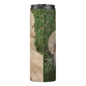 Bouteilles Isothermes Lion 022 (Dos)