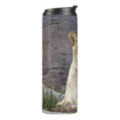 BOUTEILLES ISOTHERMES LIONESS RELAXING (Tourné sur la gauche)