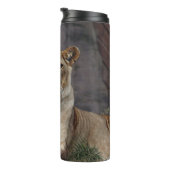 BOUTEILLES ISOTHERMES LIONESS RELAXING (Tourné sur la droite)