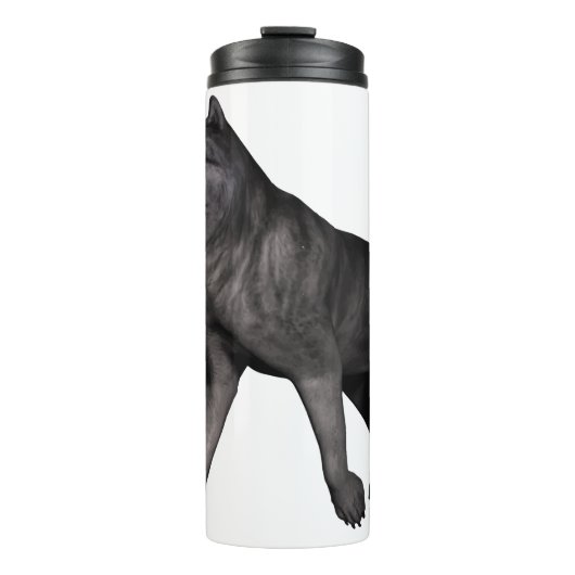 Bouteilles Isothermes Loup (Devant)
